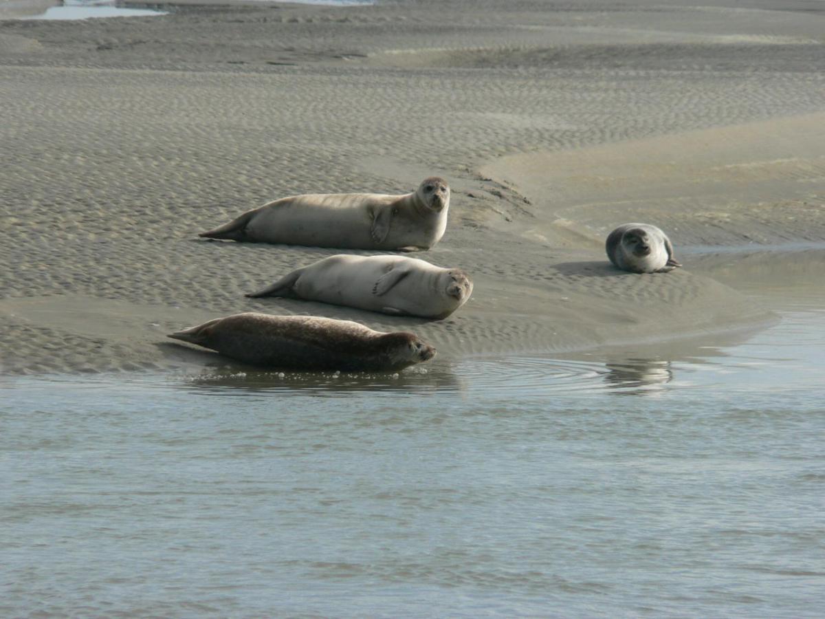 Logis Hotel & Restaurant "Au Gre Du Vent" Berck ภายนอก รูปภาพ