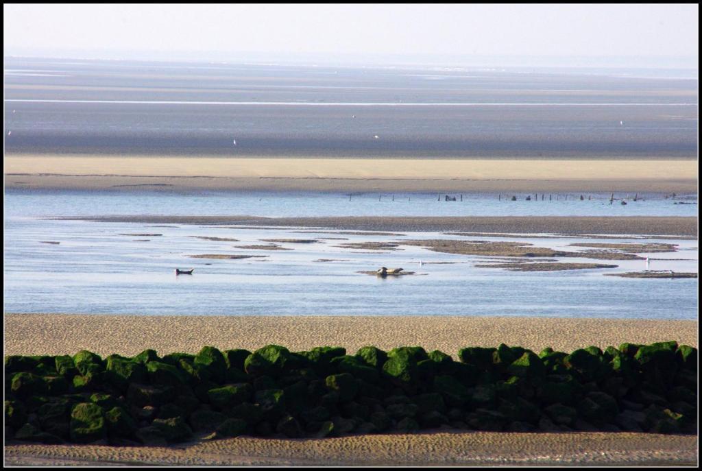 Logis Hotel & Restaurant "Au Gre Du Vent" Berck ภายนอก รูปภาพ